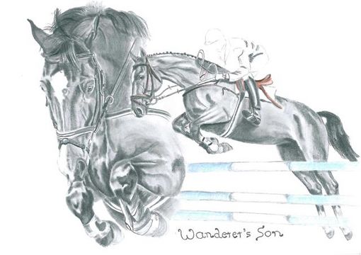 Springpferd "Wanderers Son"