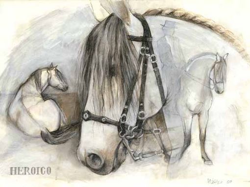 Pferdeportrait Lusitano Heroico