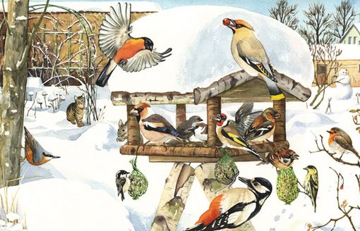 Naturillustration Winterftterung