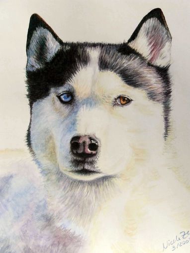 Husky Blue