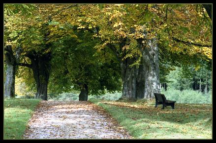 Herbst