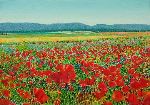 Mohn-Felder-Berge