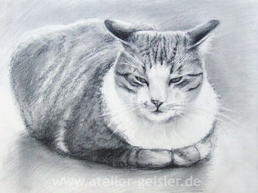 Atelier Geisler Katzenportrait