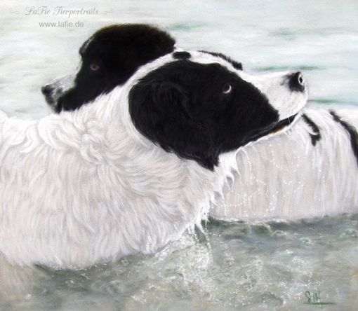 Landseer im Wasser